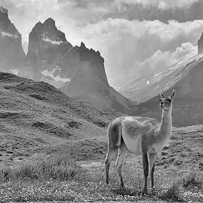 Inicia consulta pública para clasificación de especies